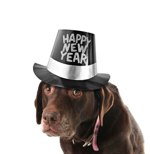 Happy New Year From Lucky Dog Bark and Brew!