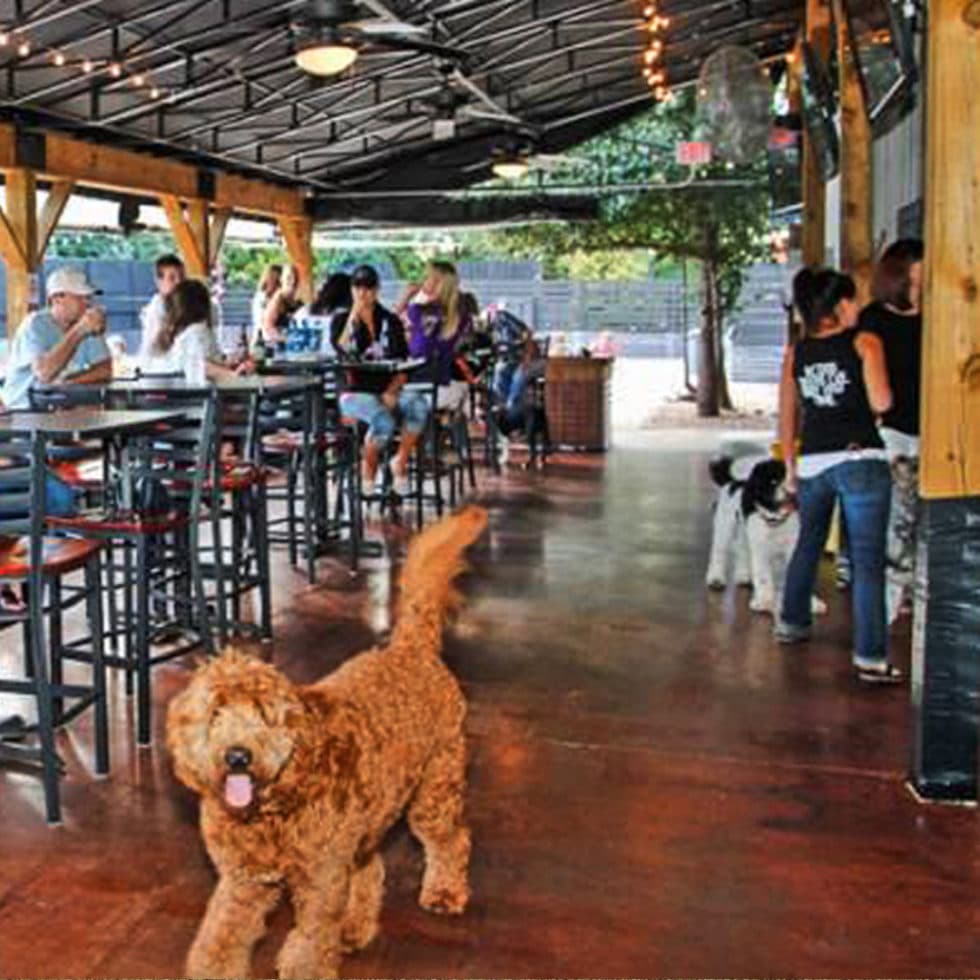 Lucky Dog: Dog Friendly Bar with Indoor & Outdoor Play Yards