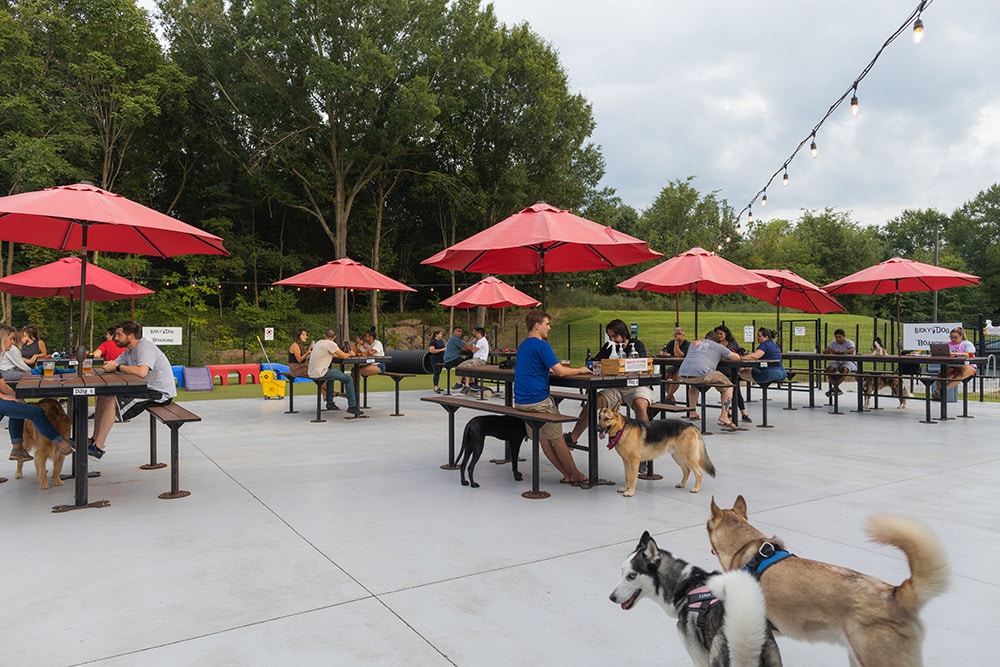 https://luckydogbarkandbrew.com/wp-content/uploads/2021/05/steele-creek-dog-bar-playyard.jpg